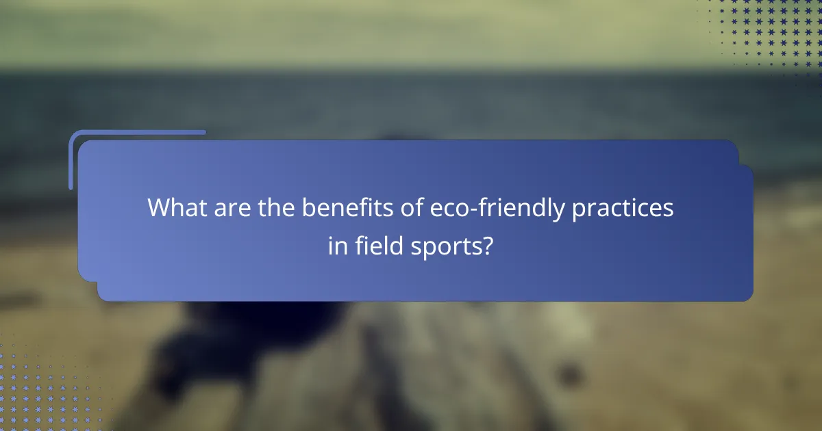 What are the benefits of eco-friendly practices in field sports?