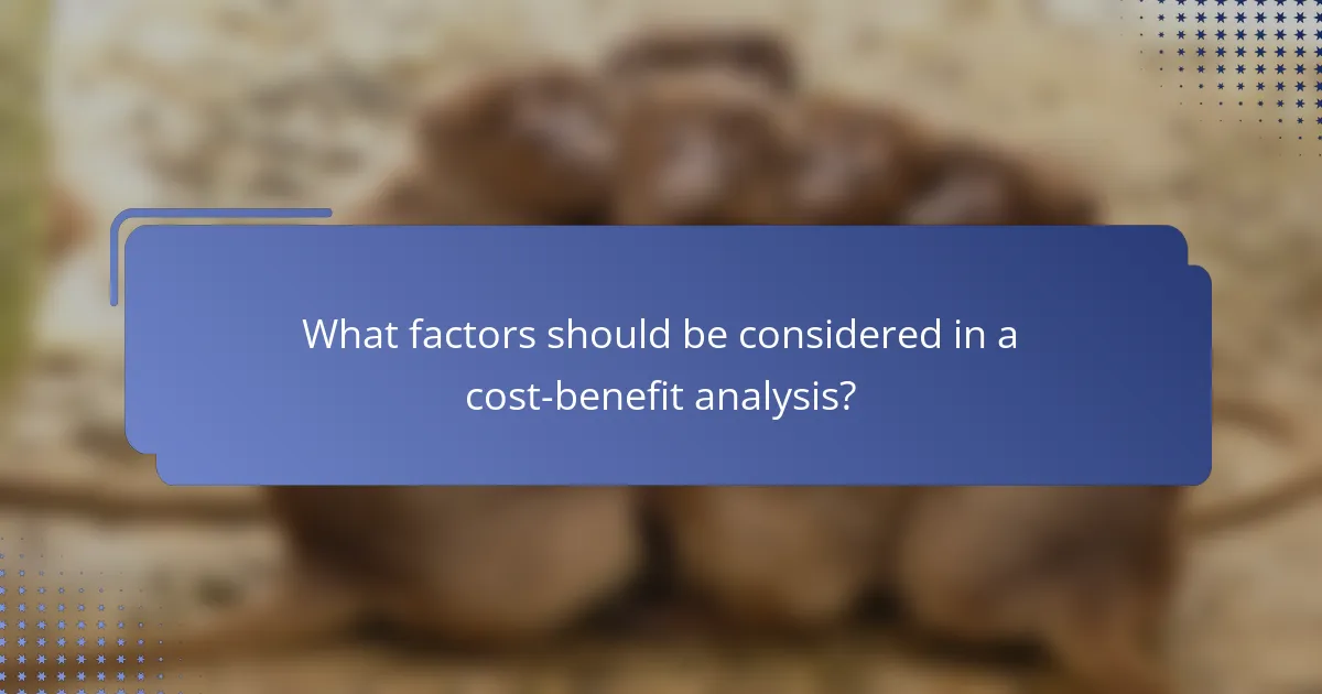 What factors should be considered in a cost-benefit analysis?